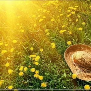 Meet your Posher, Kerry